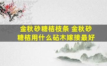 金秋砂糖桔枝条 金秋砂糖桔用什么砧木嫁接最好